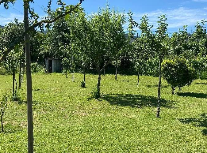 度假居 Casa Dos Avos